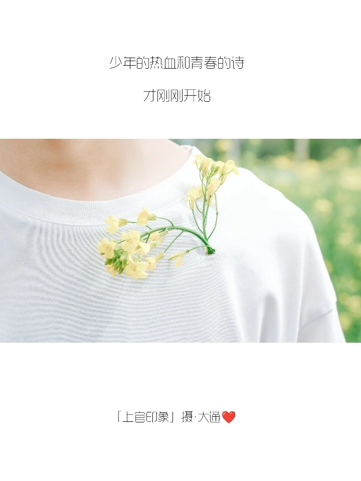 你们的朋友圈文案，我全包了！