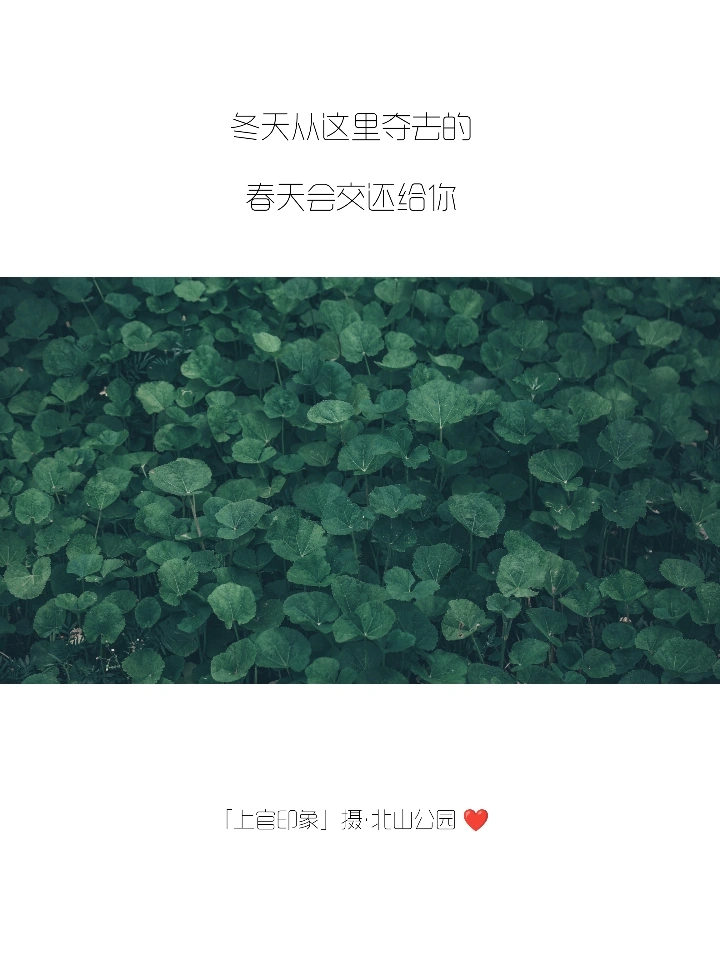 你们的朋友圈文案，我全包了！