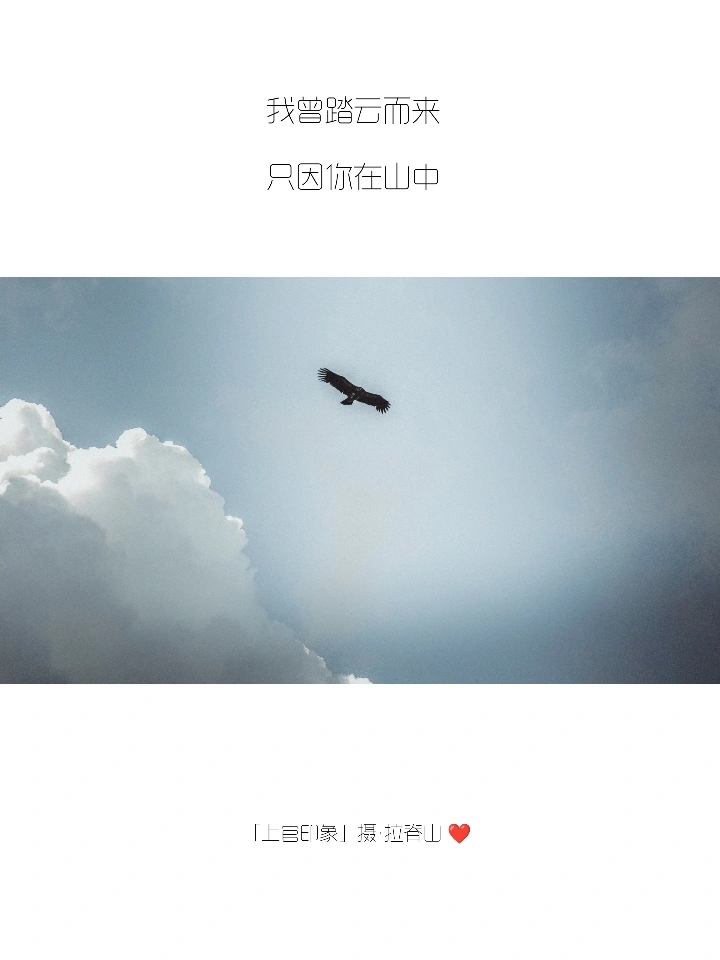 你们的朋友圈文案，我全包了！