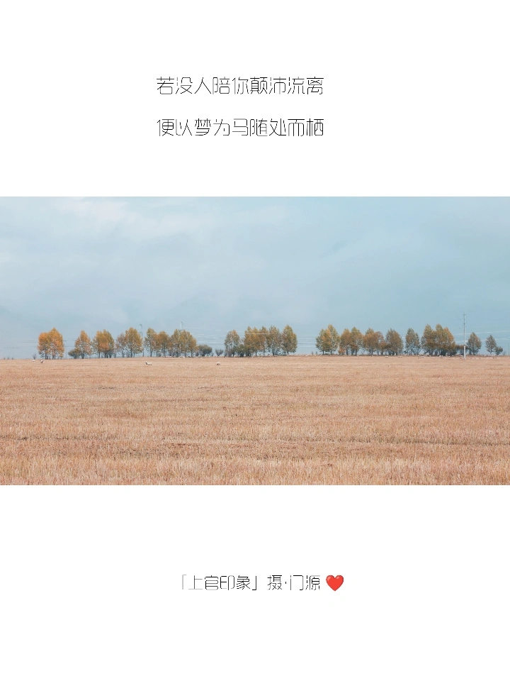 你们的朋友圈文案，我全包了！