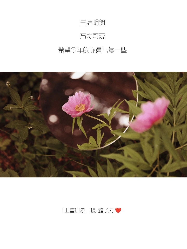 你们的朋友圈文案，我全包了！