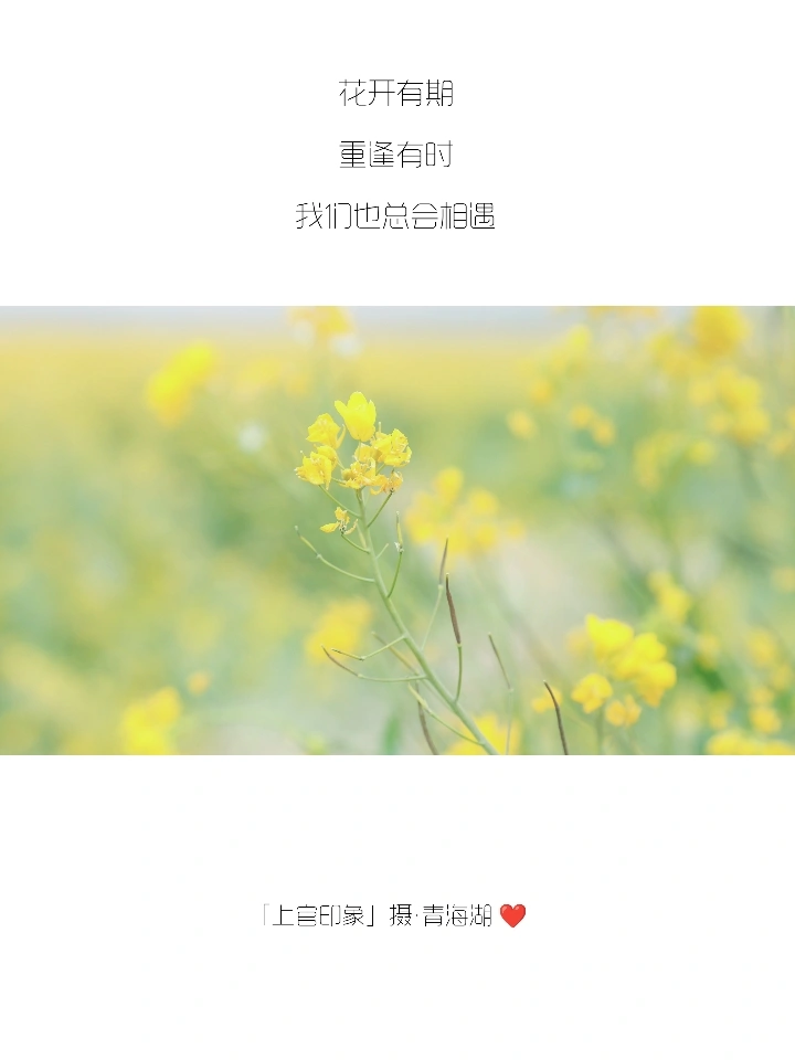 你们的朋友圈文案，我全包了！