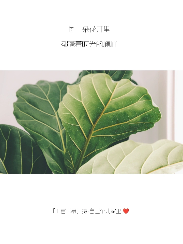 你们的朋友圈文案，我全包了！