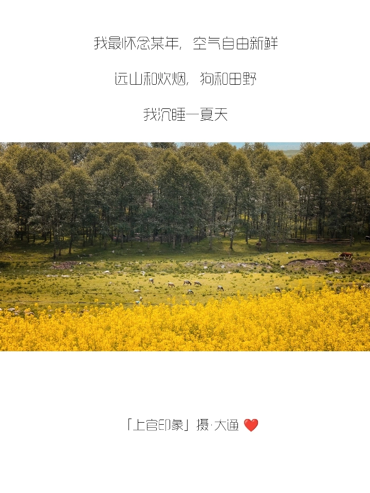 你们的朋友圈文案，我全包了！