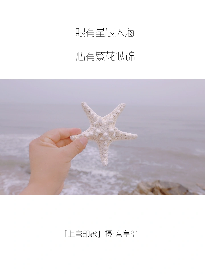 你们的朋友圈文案，我全包了！