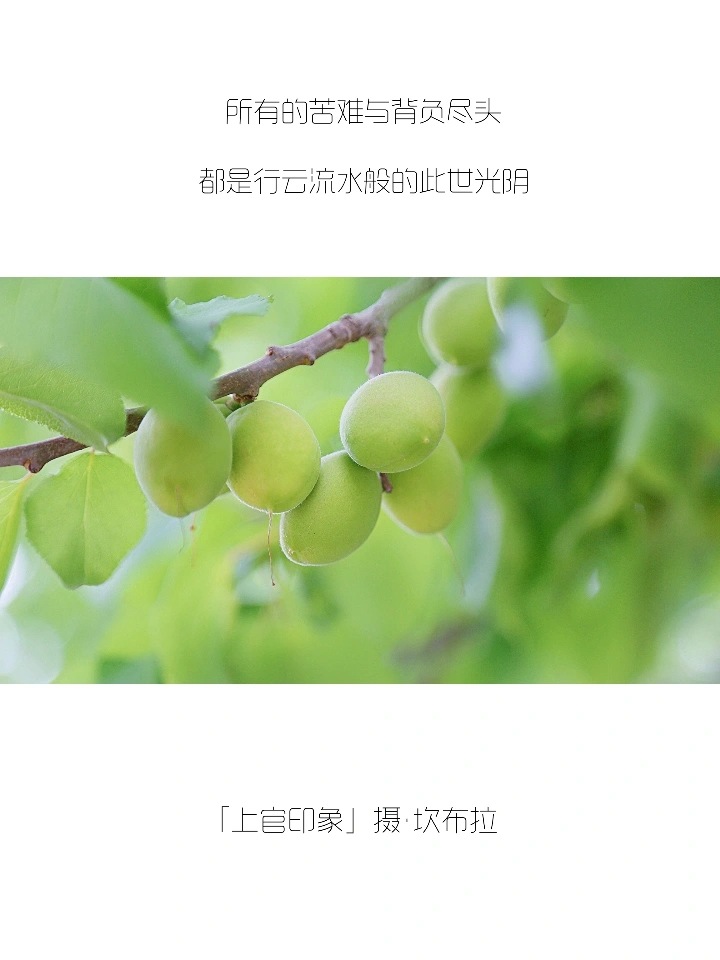 你们的朋友圈文案，我全包了！