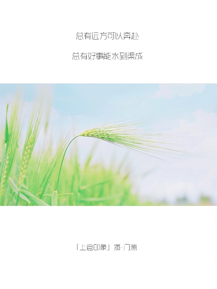 你们的朋友圈文案，我全包了！