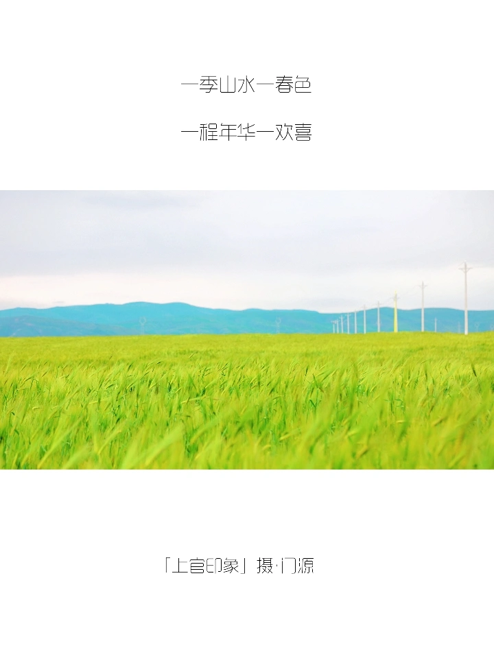 你们的朋友圈文案，我全包了！