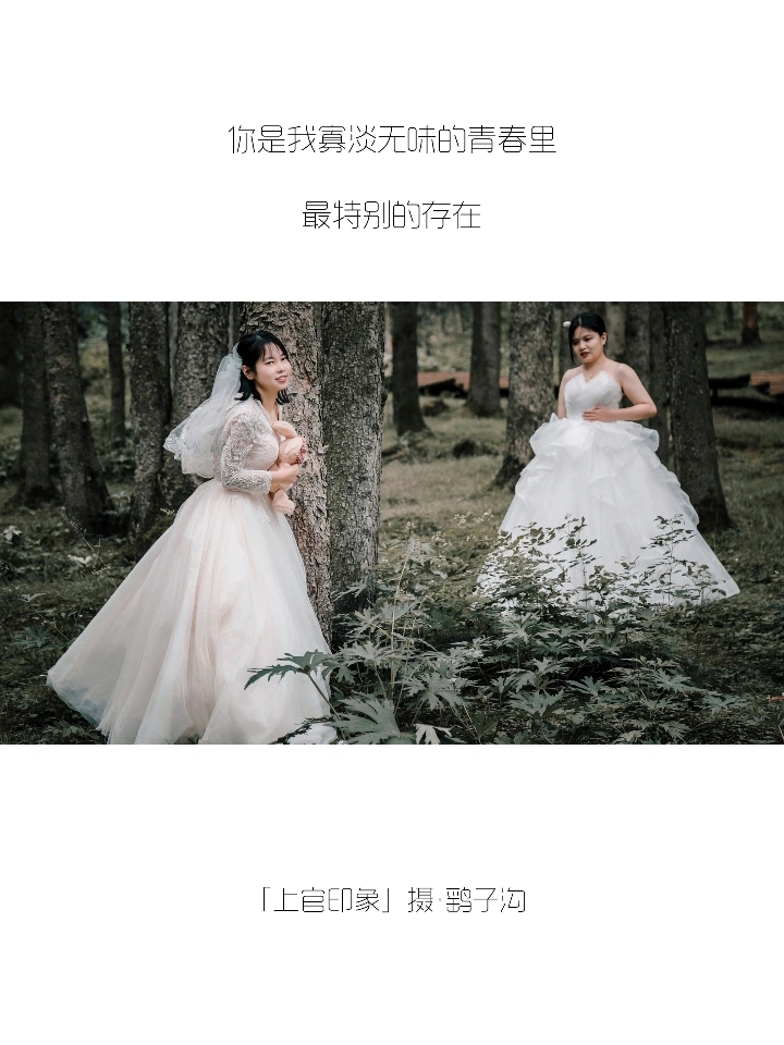 你们的朋友圈文案，我全包了！