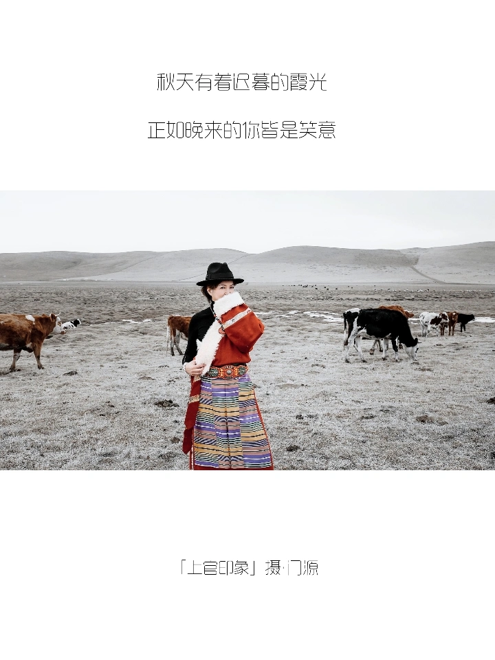 你们的朋友圈文案，我全包了！