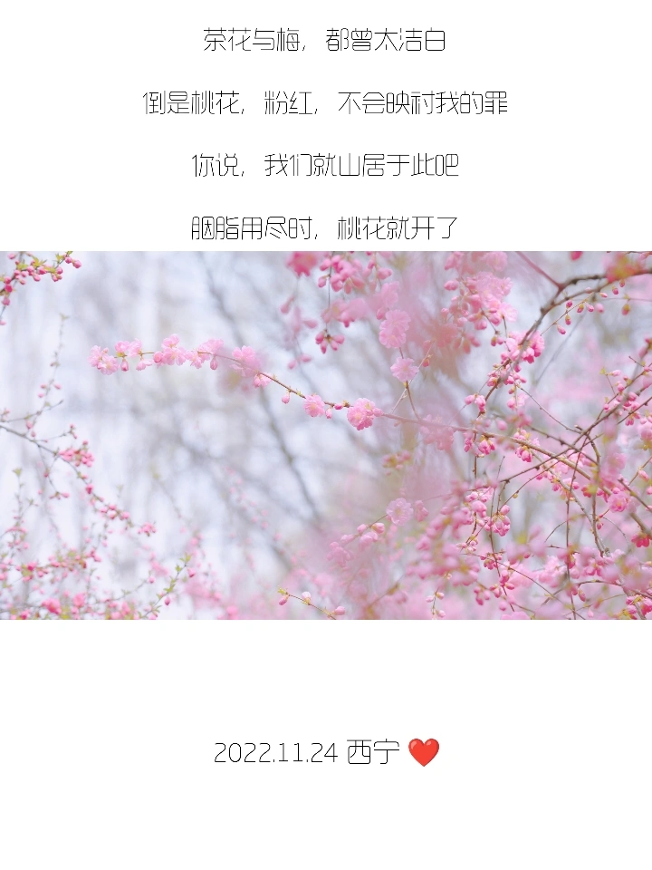 你们的朋友圈文案，我全包了！