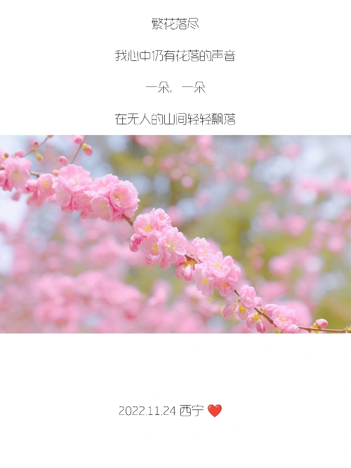 你们的朋友圈文案，我全包了！