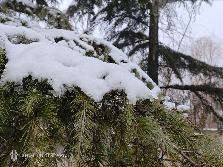 红魔9 Pro:真▪游戏手机,电竞巅峰体验!