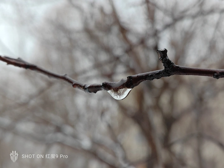 红魔9 Pro:真▪游戏手机,电竞巅峰体验!