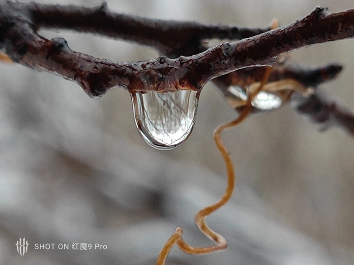 红魔9 Pro:真▪游戏手机,电竞巅峰体验!
