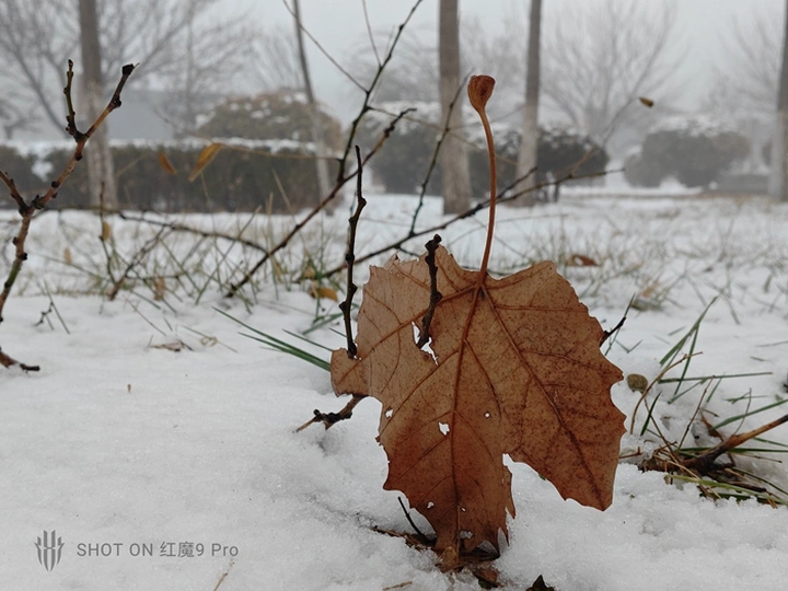 红魔9 Pro:真▪游戏手机,电竞巅峰体验!