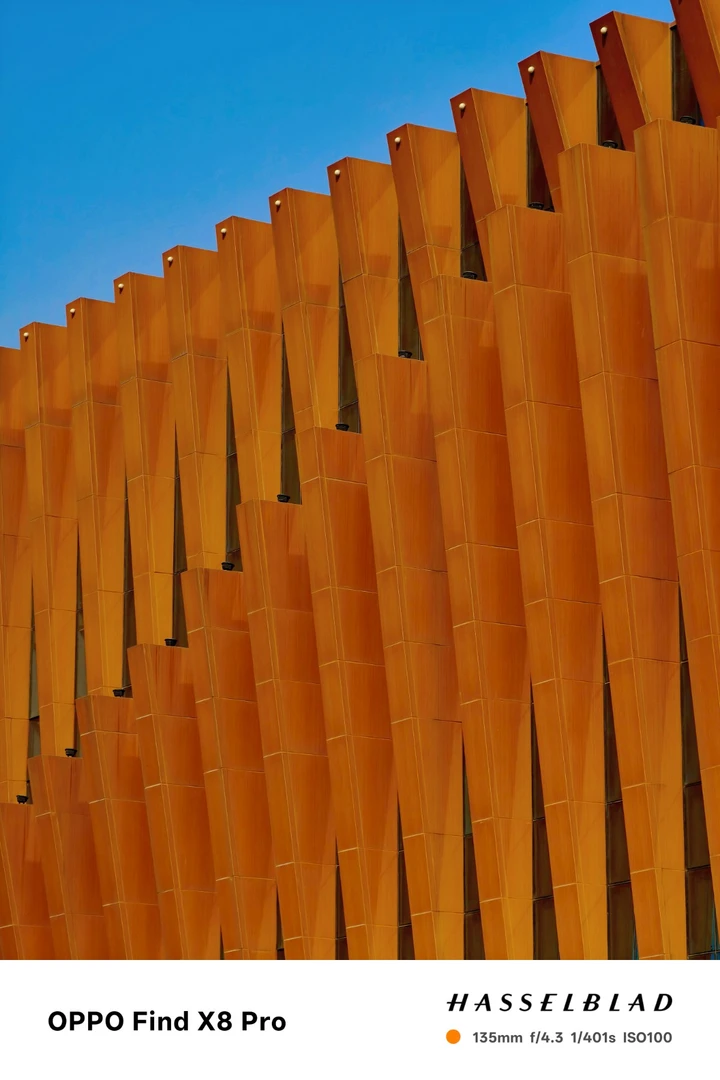 我的2025影像年度总结