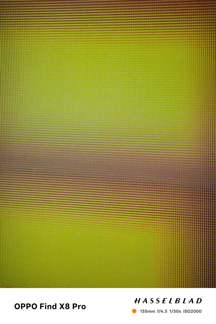 我的2025影像年度总结