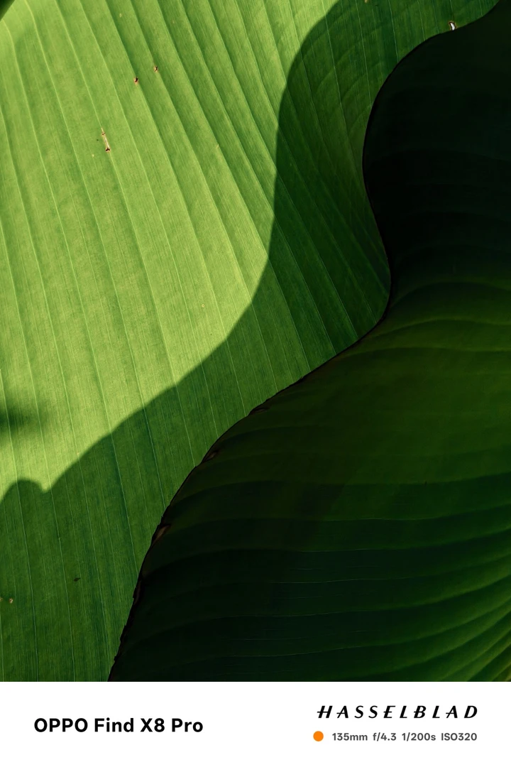 我的2025影像年度总结