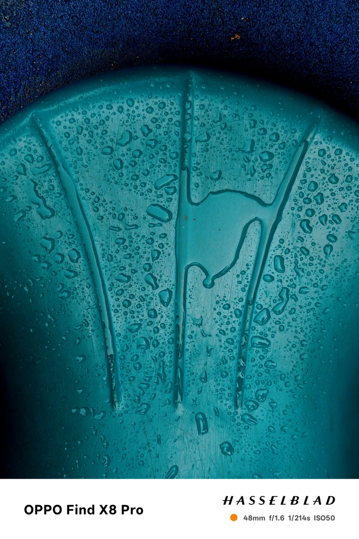 我的2025影像年度总结