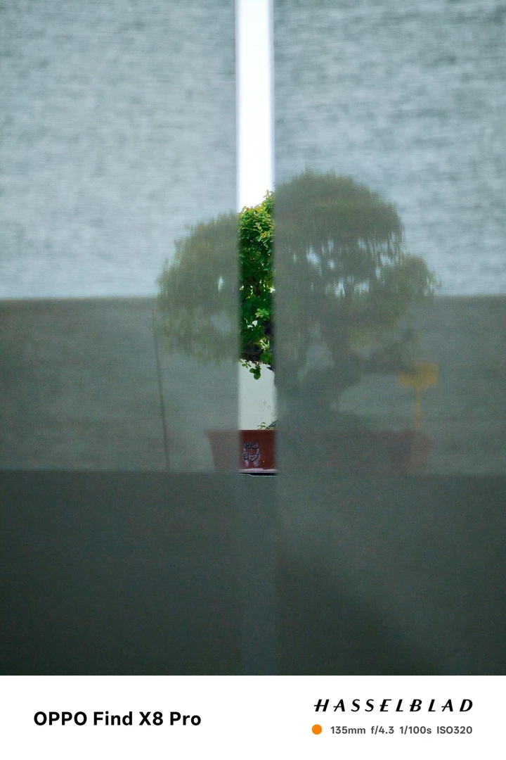 我的2025影像年度总结