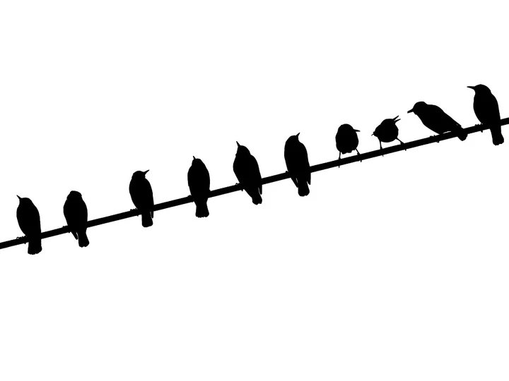 我的2025影像年度总结