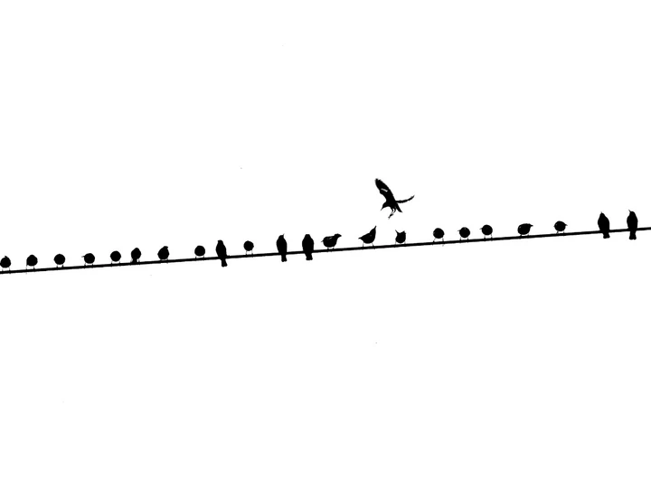 我的2025影像年度总结