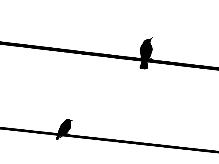 我的2025影像年度总结