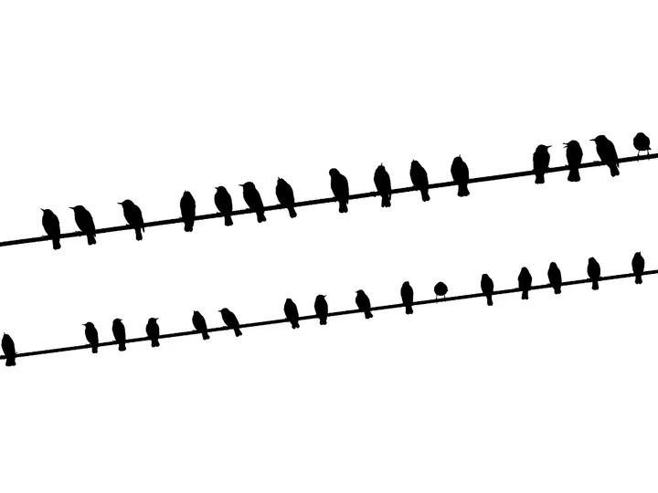 我的2025影像年度总结