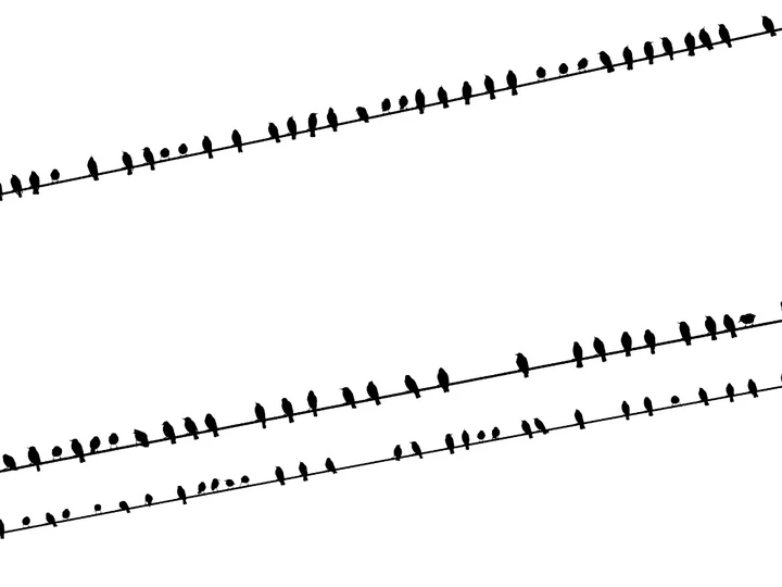 我的2025影像年度总结