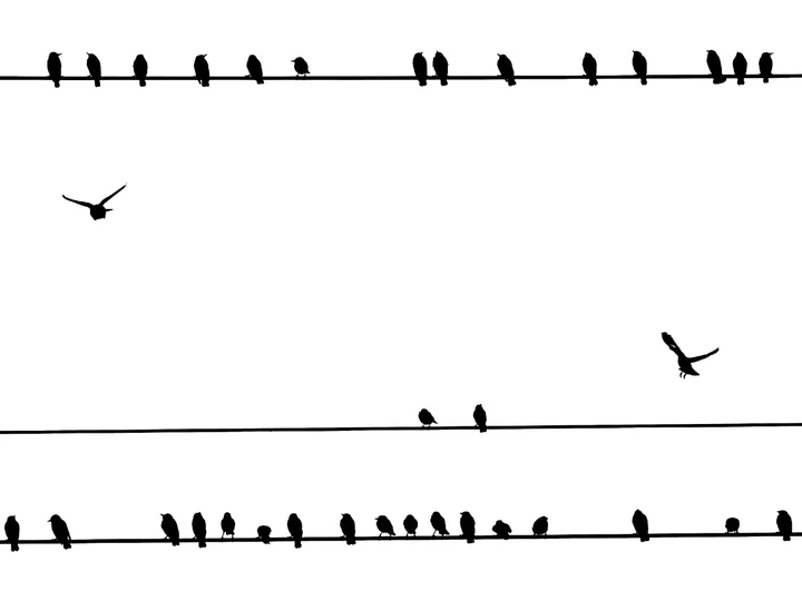 我的2025影像年度总结