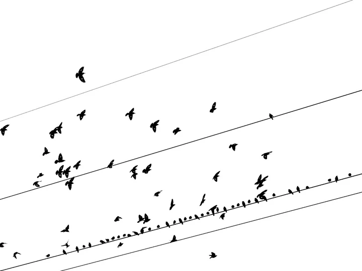 我的2025影像年度总结