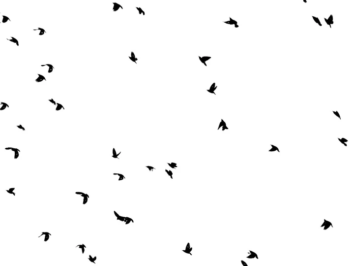 我的2025影像年度总结