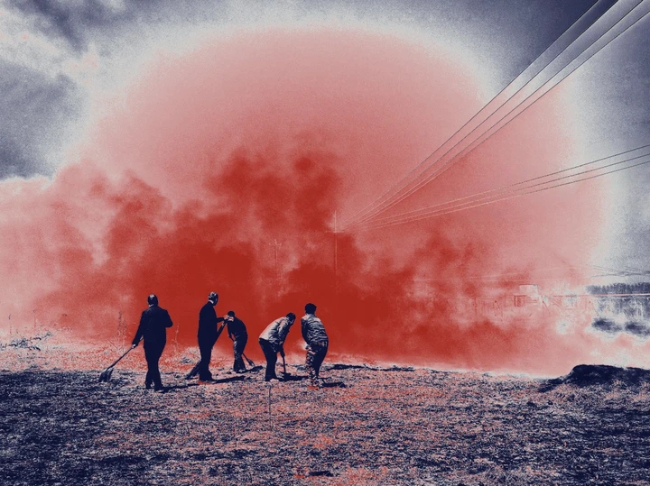 我的2025影像年度总结