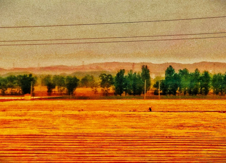 我的2025影像年度总结