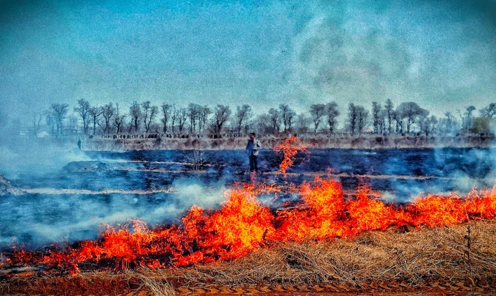 我的2025影像年度总结