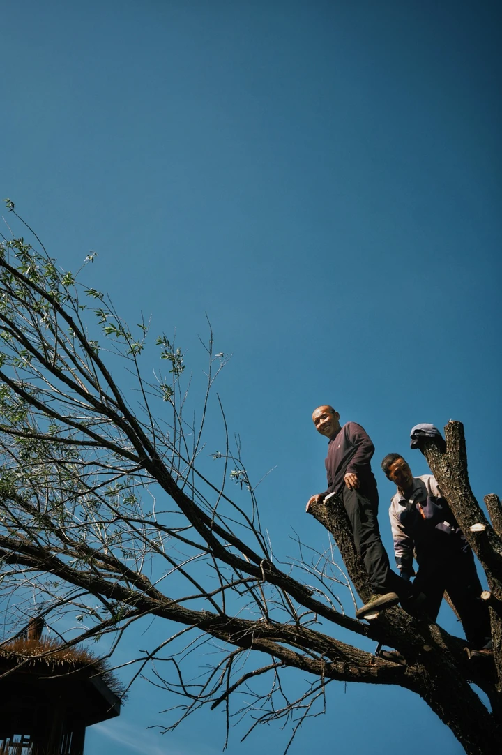 我的2025影像年度总结