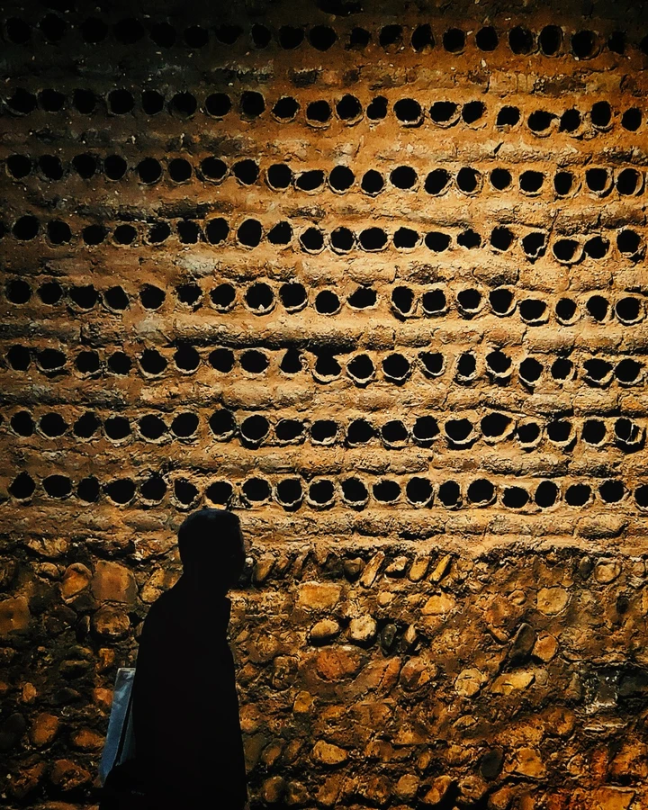 我的2025影像年度总结