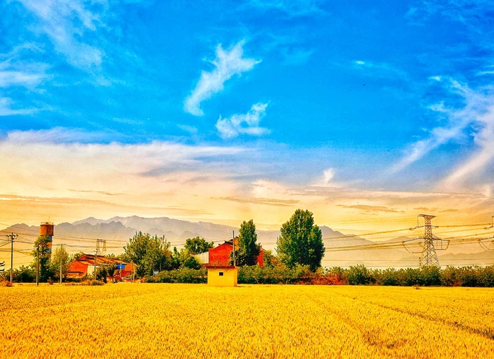 我的2025影像年度总结