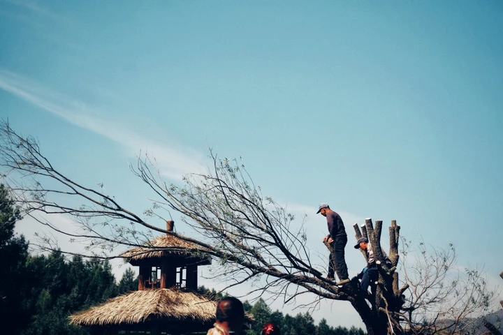 我的2025影像年度总结