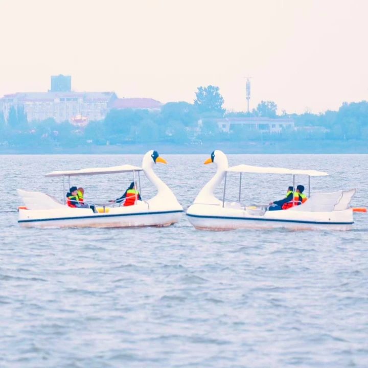 我的2025影像年度总结