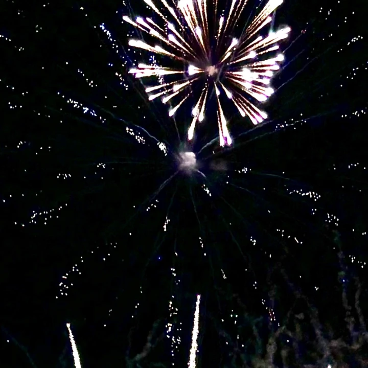 我的2025影像年度总结