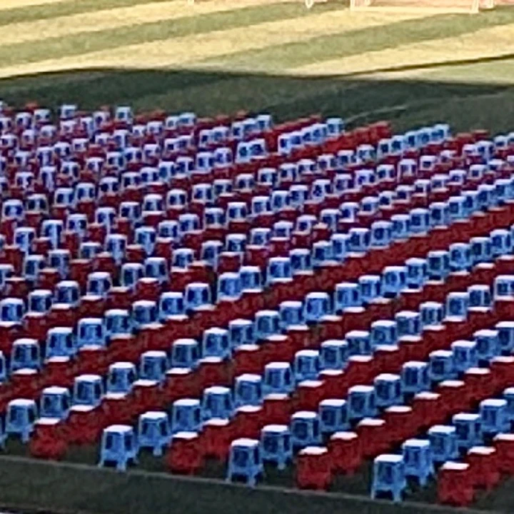 我的2025影像年度总结