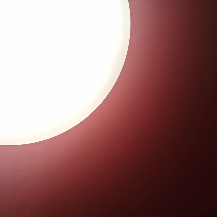 我的2025影像年度总结