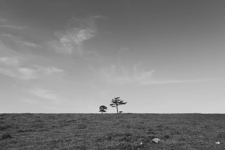 我的2025影像年度总结