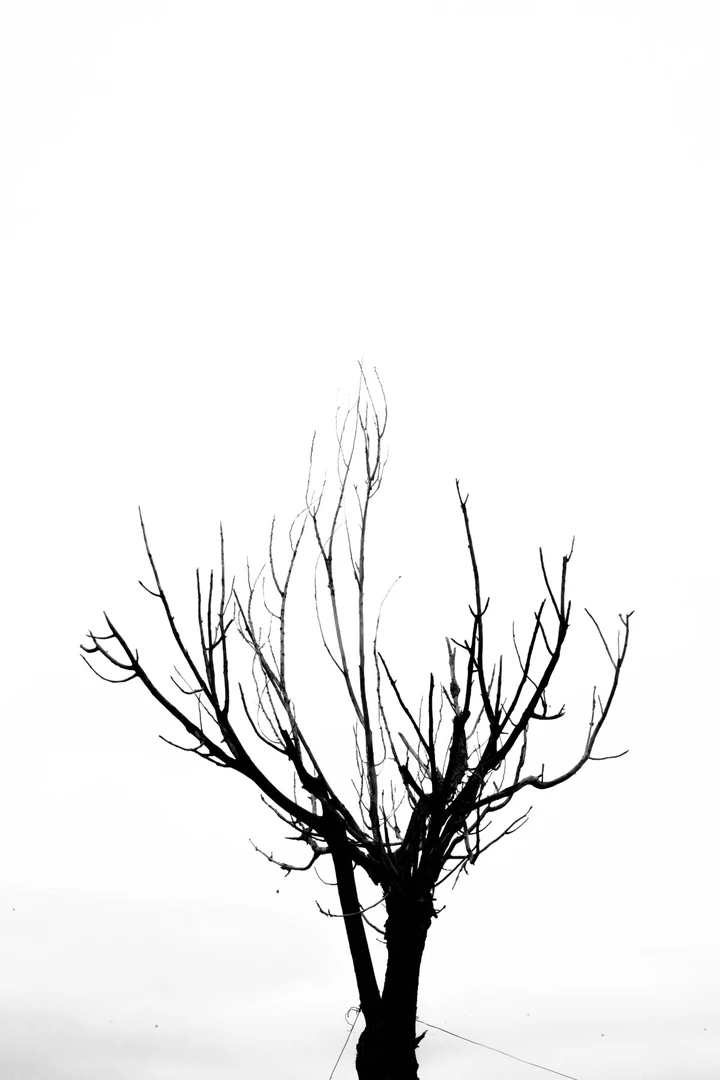 我的2025影像年度总结