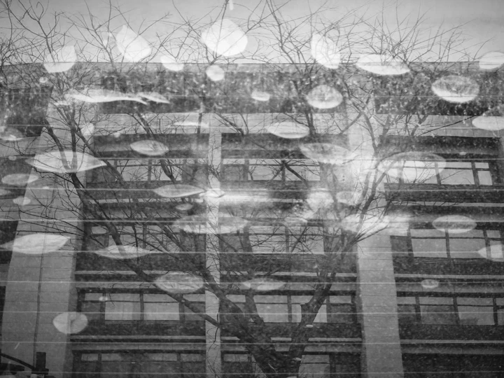 我的2025影像年度总结