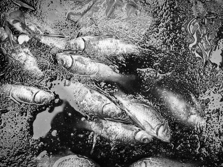 我的2025影像年度总结