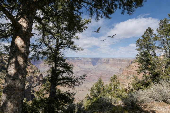 峡谷回响：天地与心的私语