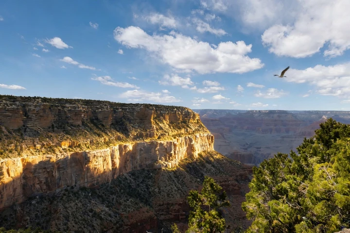 峡谷回响：天地与心的私语